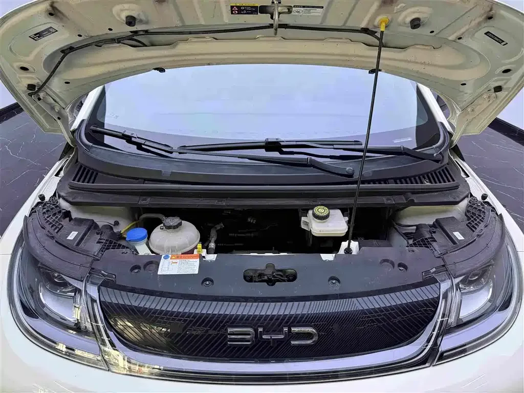 BYD Dolphin 2024 Glory Edition 420km Fashion Edition — Фото автомобиля 22