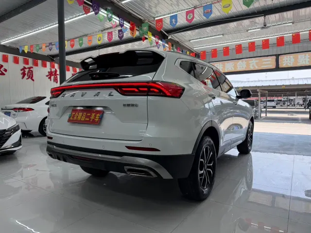 Haval H6 — Фото автомобиля 6