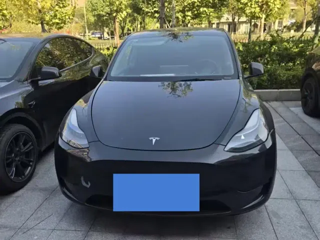 Tesla Model Y — Фото автомобиля 7