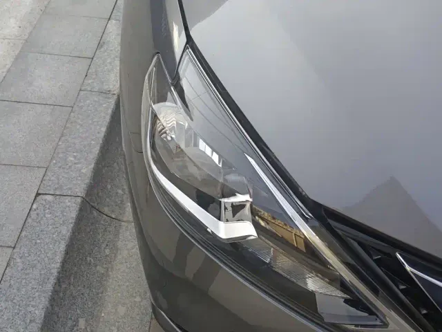 Nissan Sylphy — Фото автомобиля 7
