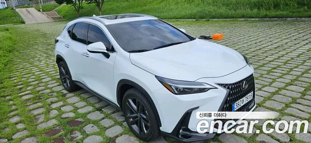 Lexus NX — Фото автомобиля 8