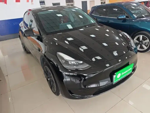 Tesla Model Y — Фото автомобиля 3