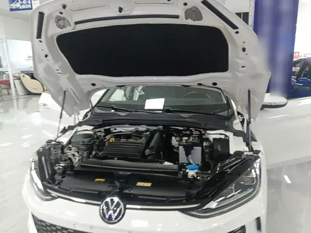Volkswagen Lamando — Фото автомобиля 19