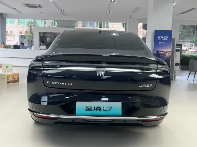 Buick Electra L7 — Фото автомобиля 6