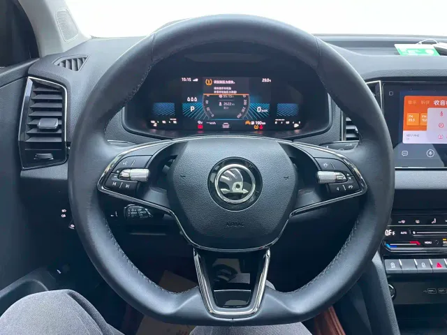 Skoda Karoq — Фото автомобиля 9