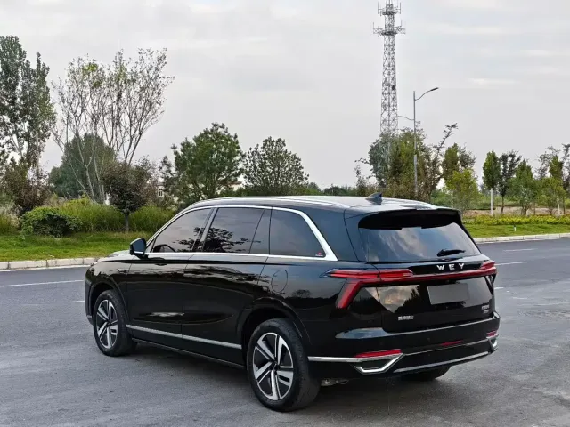 Wey Lanshan — Фото автомобиля 9