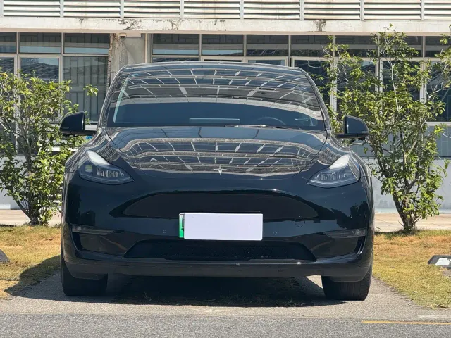Tesla Model Y — Фото автомобиля 2
