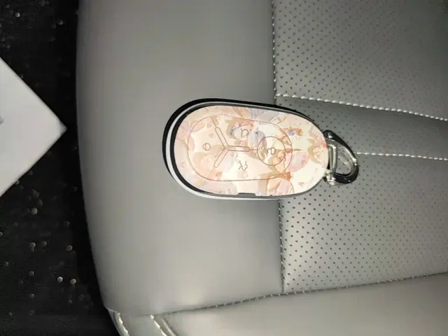 Geely Starry Wish — Фото автомобиля 8
