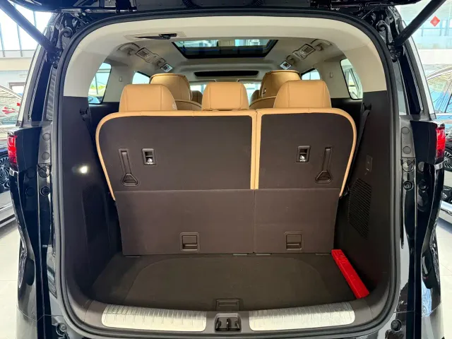Denza Denza D9 2024 DM-i 1050 Premium — Фото автомобиля 16