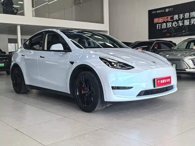 Tesla Model Y — Фото автомобиля 3