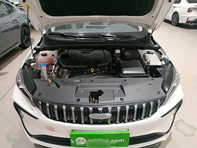 Geely Binrui — Фото автомобиля 19