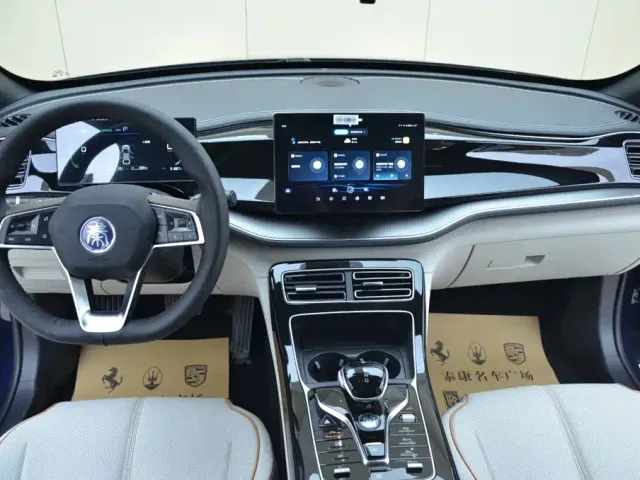 BYD Qin PLUS — Фото автомобиля 6