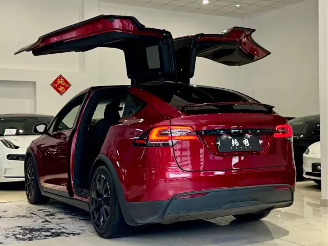Tesla Model X — Фото автомобиля 16