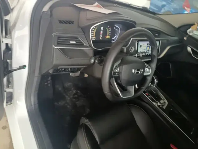 Geely Binrui 2021 1.4T CVT Asian Games Edition — Фото автомобиля 9