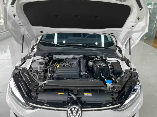 Volkswagen Lamando — Фото автомобиля 18