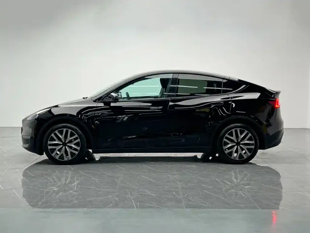 Tesla Model Y — Фото автомобиля 3