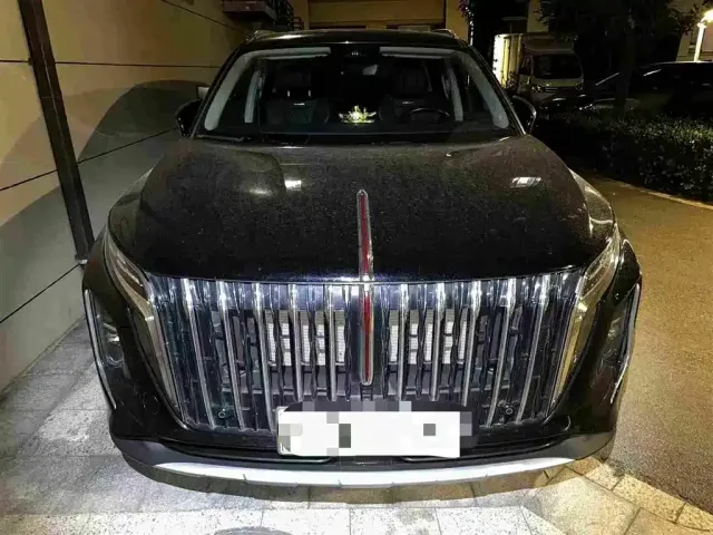 Фотография автомобиля — Hongqi HS7 PHEV