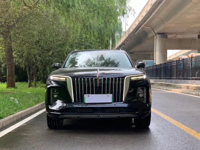 Hongqi E-HS9 — Фото автомобиля 2