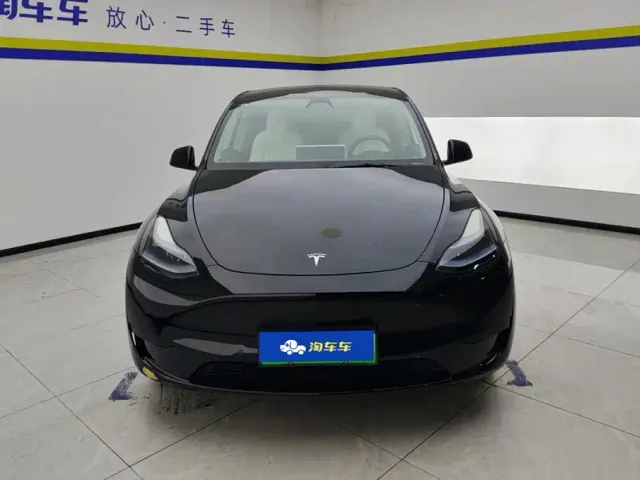 Tesla Model Y — Фото автомобиля 2
