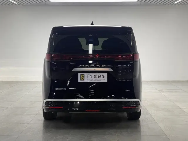 Denza Denza D9 2024 DM-i 1050 Premium — Фото автомобиля 5