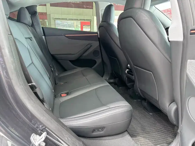Tesla Model Y — Фото автомобиля 17