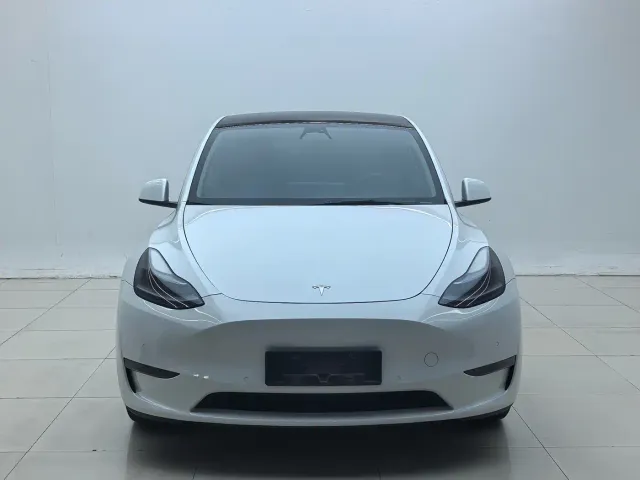 Tesla Model Y — Фото автомобиля 2