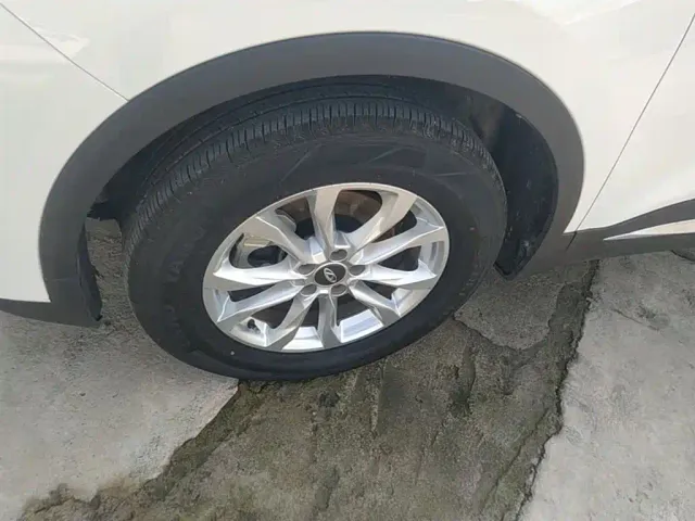 Chery Tiggo 7 PLUS — Фото автомобиля 22