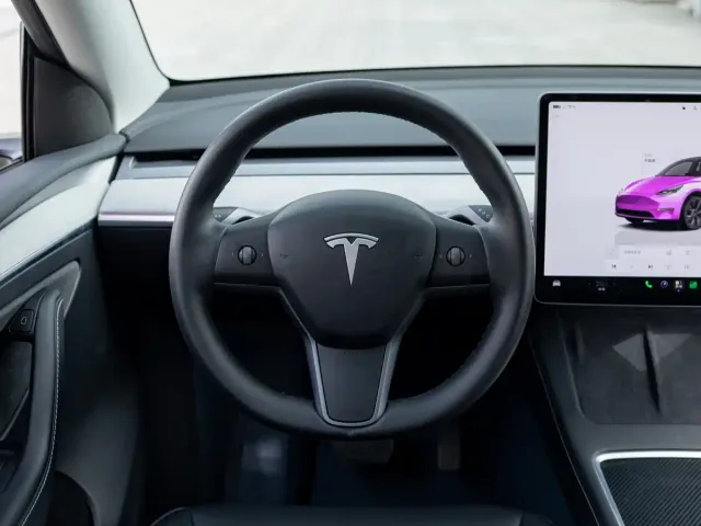Tesla Model Y — Фото автомобиля 10