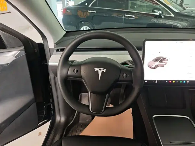 Tesla Model Y — Фото автомобиля 10