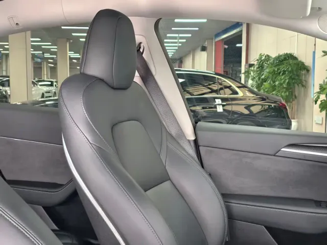 Tesla Model Y — Фото автомобиля 20