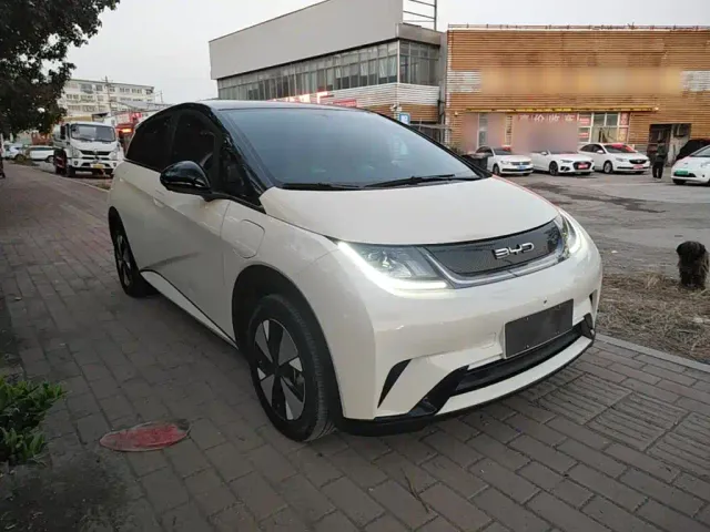 BYD Dolphin — Фото автомобиля 3