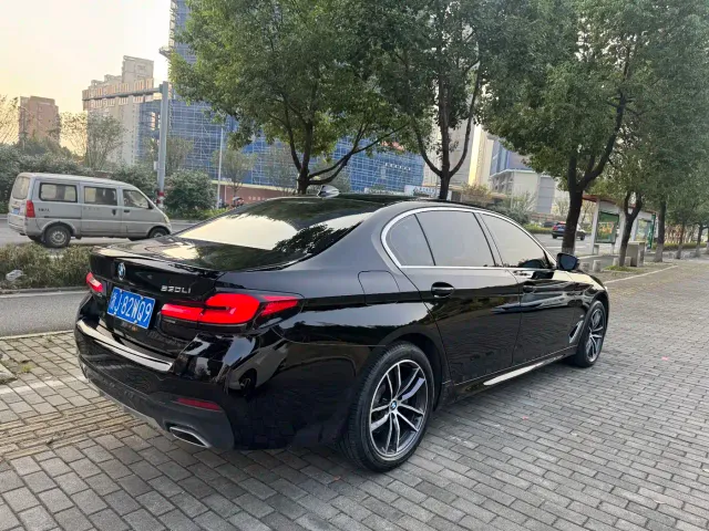 BMW 5 Series — Фото автомобиля 9