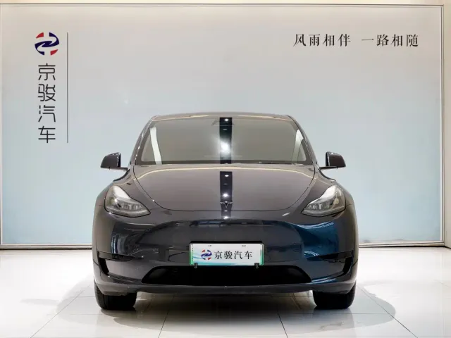 Tesla Model Y — Фото автомобиля 2