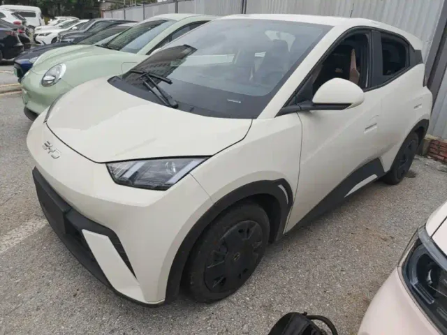 Фотография автомобиля — BYD Seagull