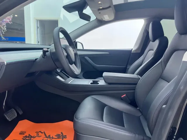 Tesla Model Y — Фото автомобиля 10