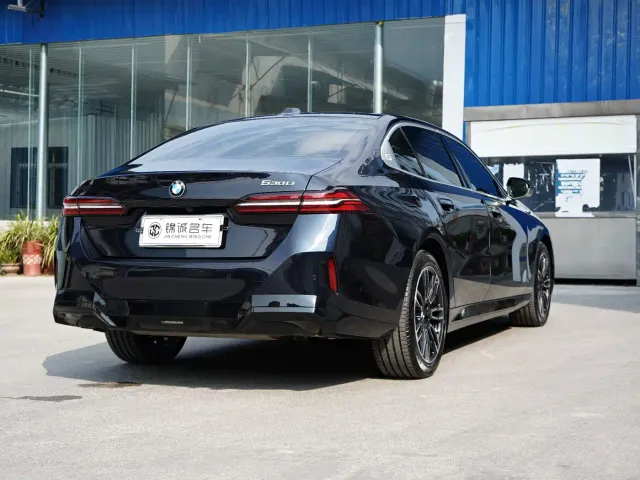 BMW 5 Series — Фото автомобиля 4