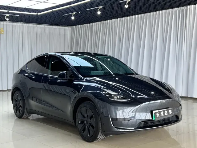 Tesla Model Y — Фото автомобиля 3