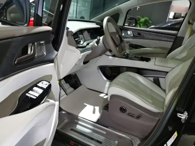 Denza D9 — Фото автомобиля 14