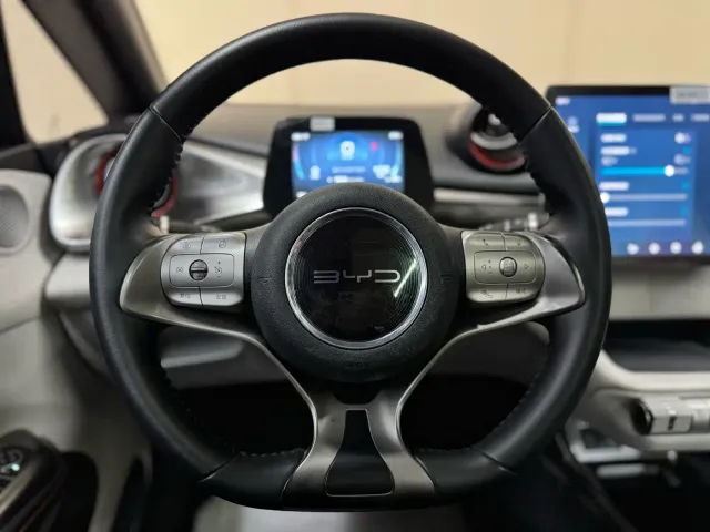 BYD Dolphin — Фото автомобиля 15