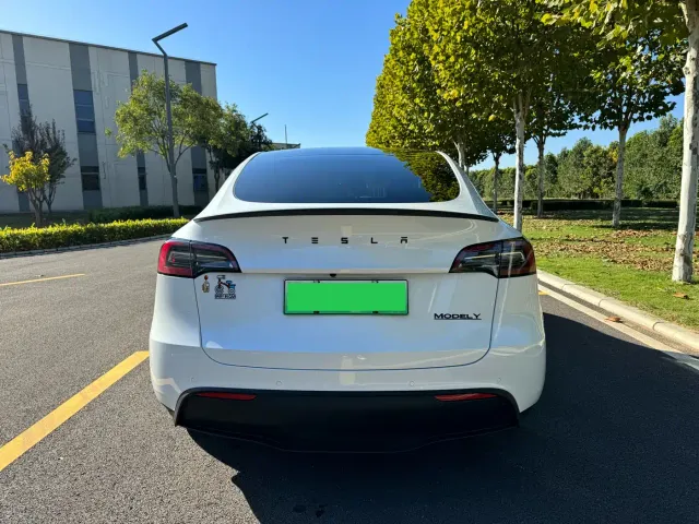 Tesla Model Y — Фото автомобиля 5