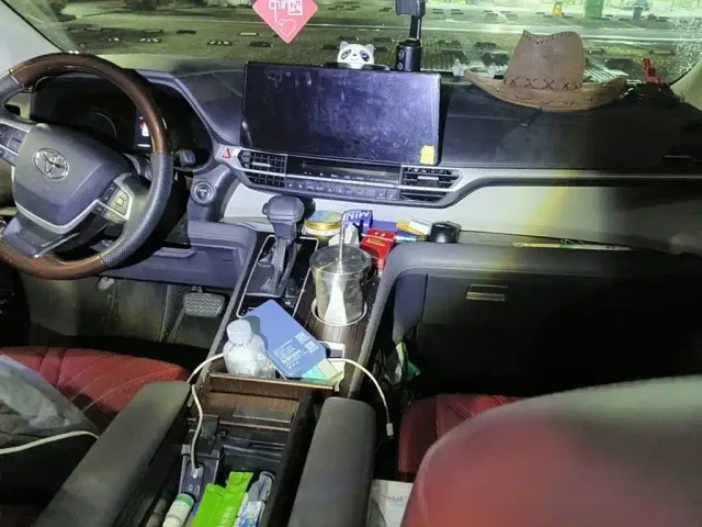 Toyota Sienna — Фото автомобиля 12