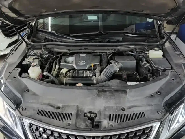 Lexus RX — Фото автомобиля 19