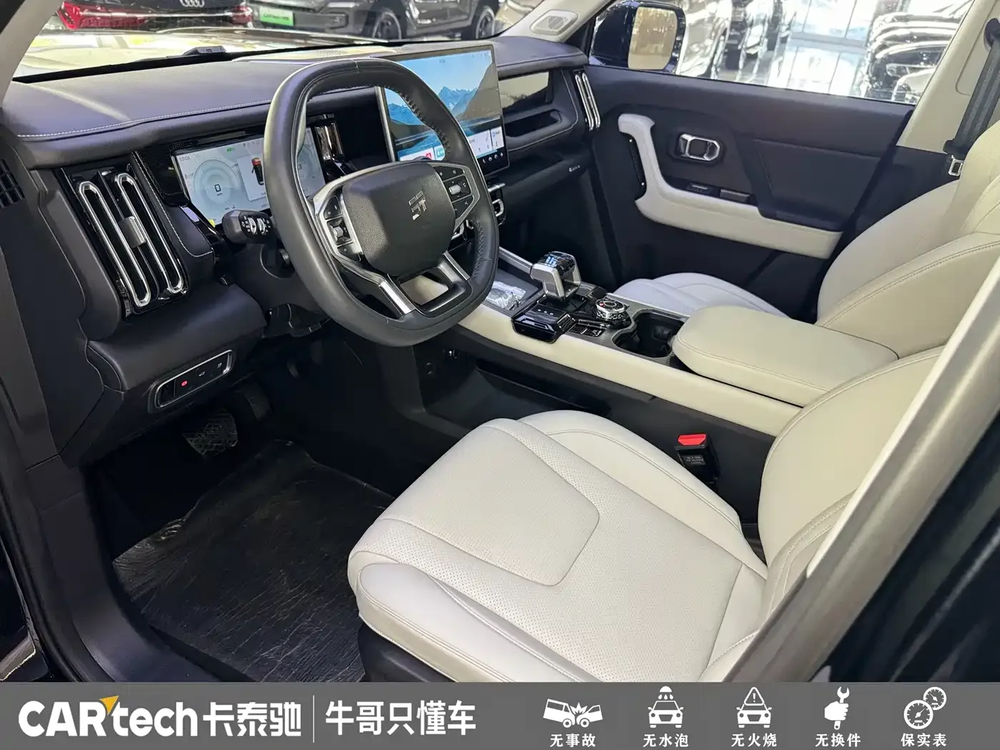 Jetour Shanhai Jetour Shanhai T1 2025 150km Ocean Edition — Фото автомобиля 11