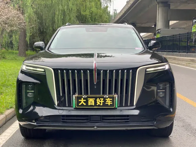 Hongqi E-HS9 — Фото автомобиля 2
