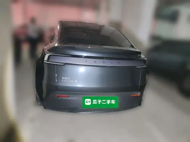 Tesla Model Y — Фото автомобиля 5