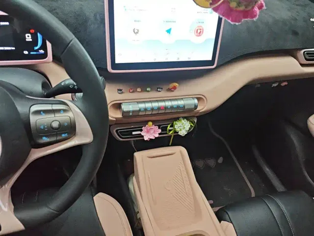 BYD Seagull — Фото автомобиля 9
