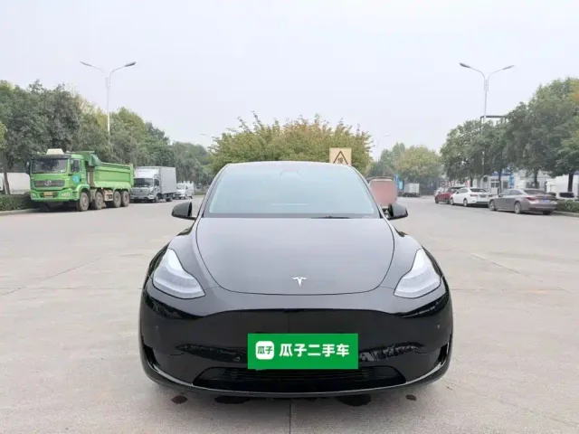 Tesla Model Y — Фото автомобиля 2