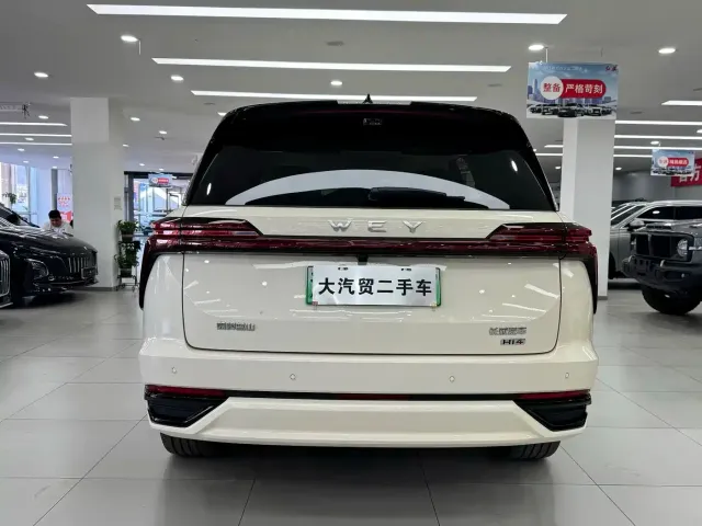 Wey Lanshan — Фото автомобиля 4