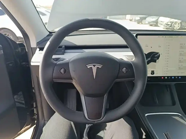 Tesla Model Y — Фото автомобиля 10