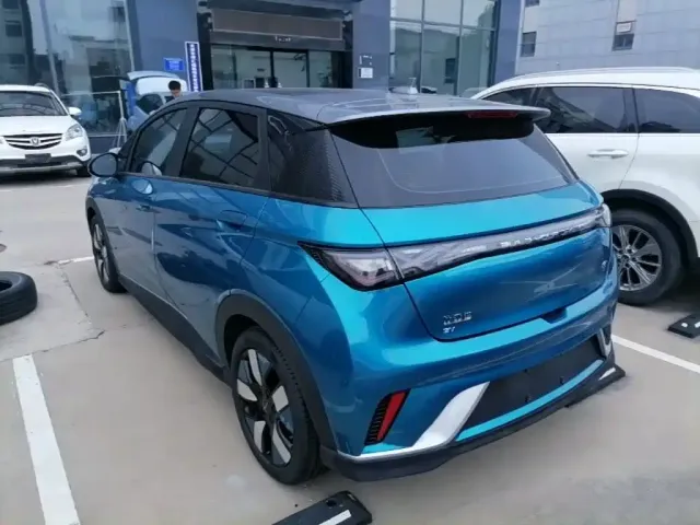BYD Dolphin 2021 401km Knight Edition — Фото автомобиля 22